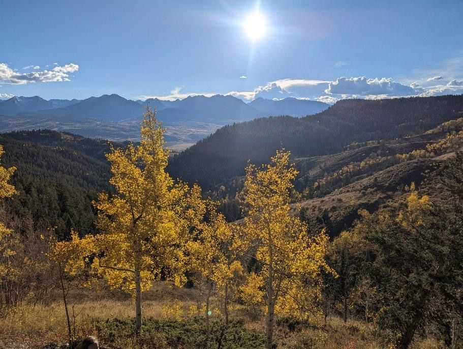 A fall afternoon