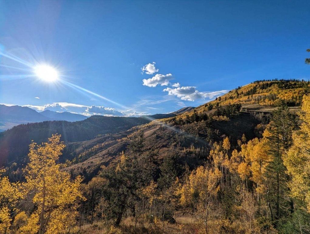Fall colors